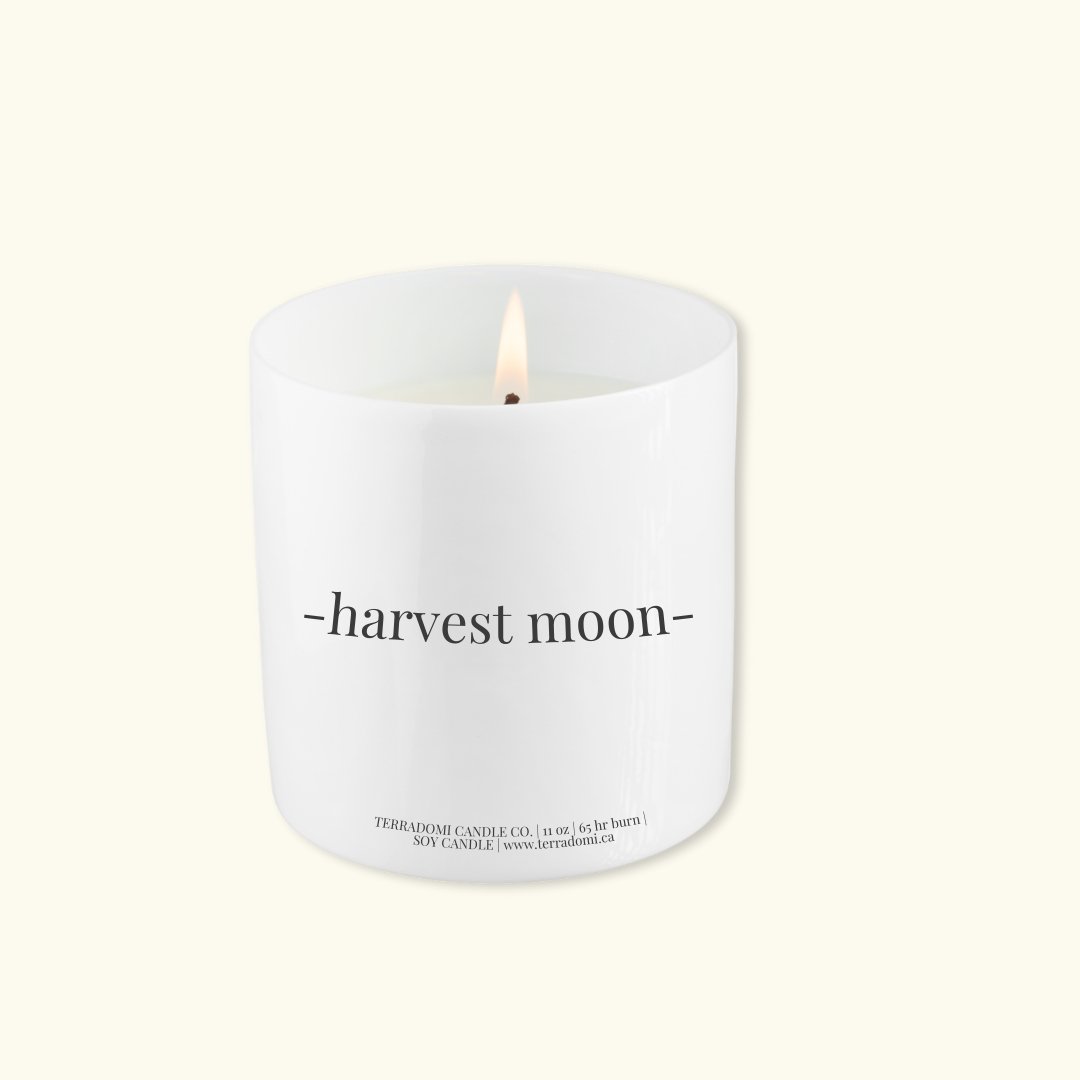 HARVEST MOON | Pumpkin Spice + Vanilla Candle