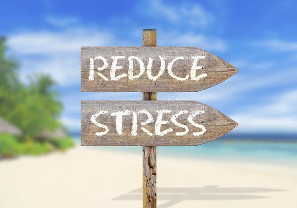 Reducing stress during the pandemic