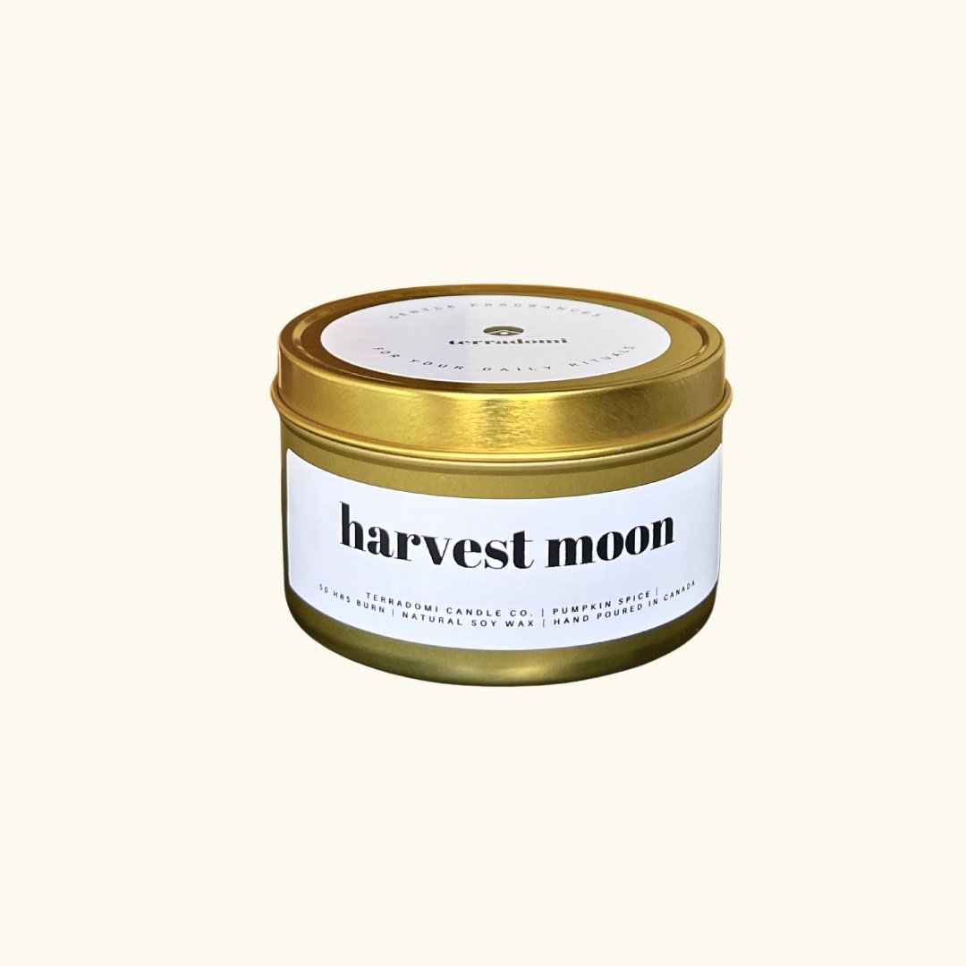 Pumpkin Spice & Vanilla Scented Candle | Toronto Candles Company – Terradomi Candle Co.- Eco Friendly Soy Candles